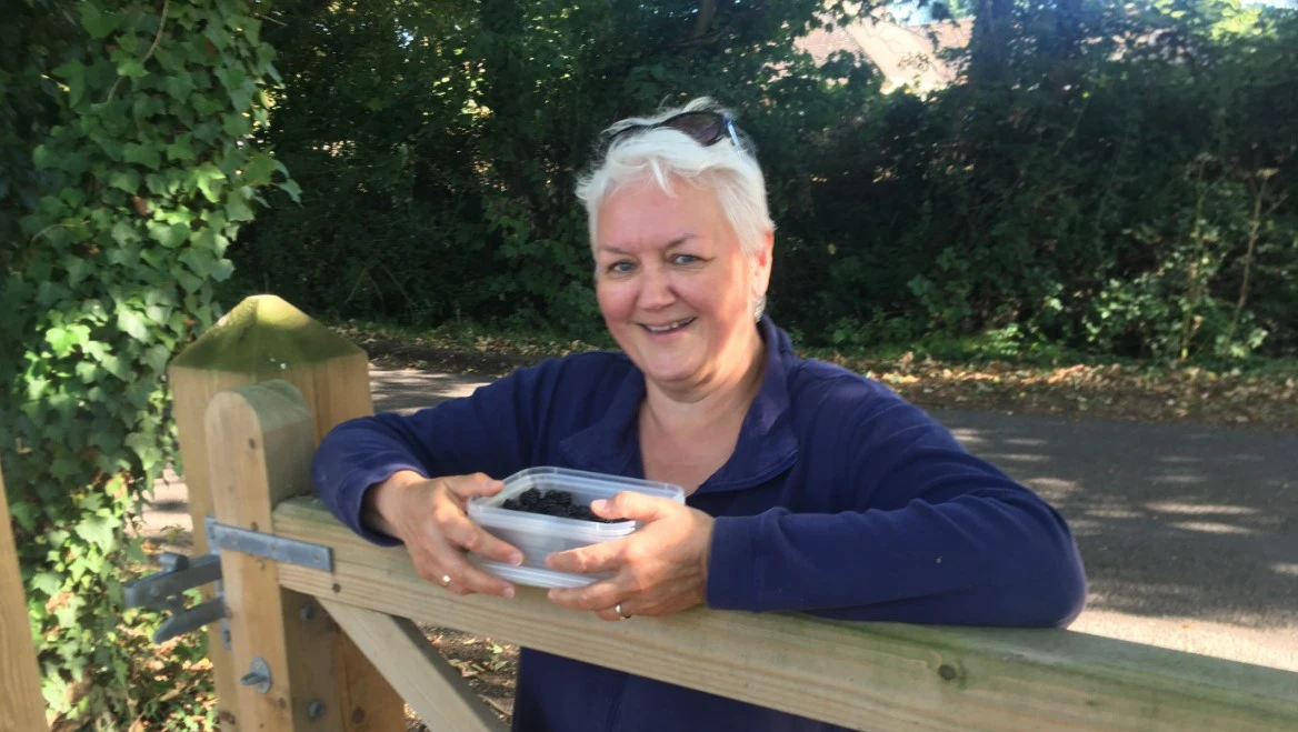 happy woman picking berries