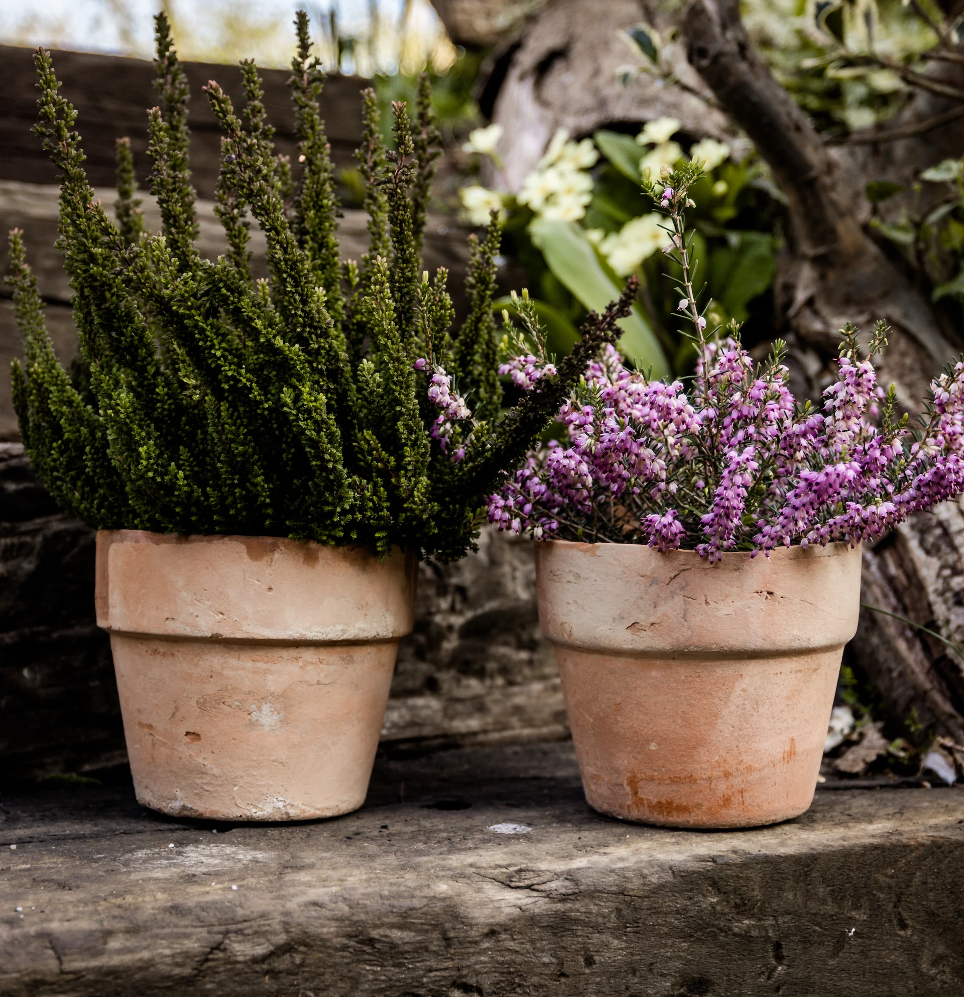 pots in a garden with flowers in them