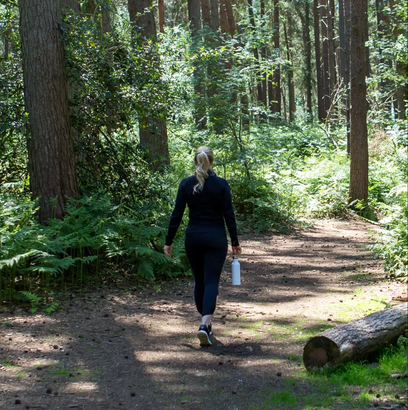 That Blood Sugar Walking Guide